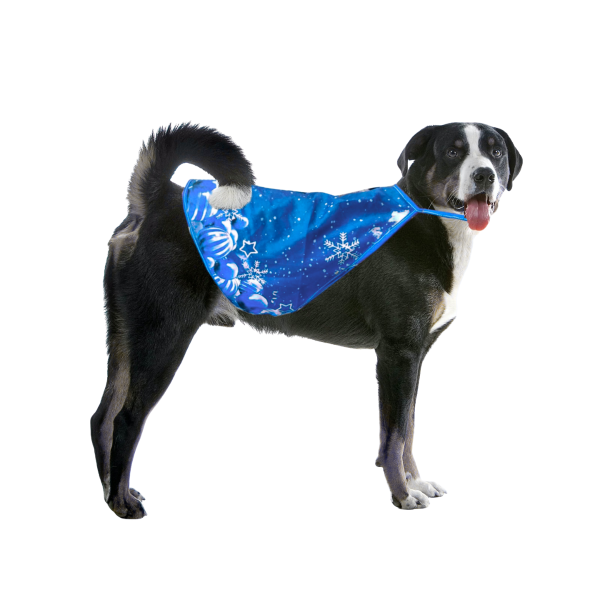 Capa Para Mascota - Imagen 3