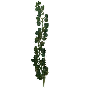 Enredadera