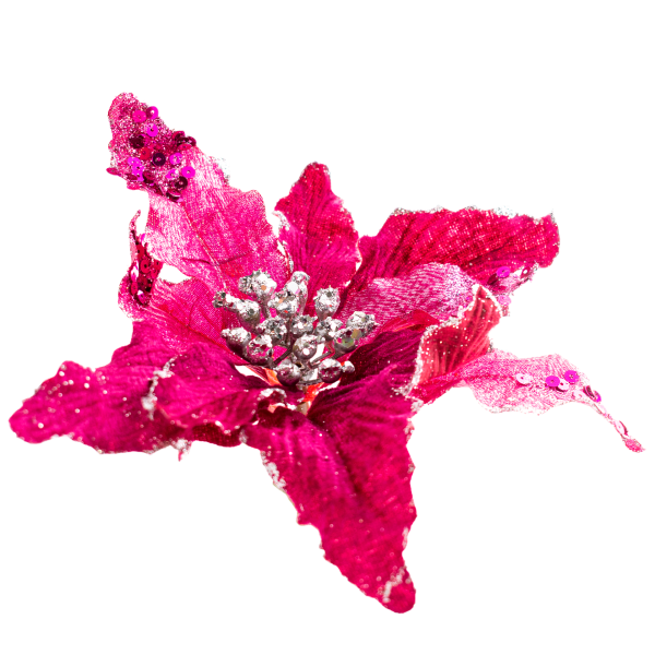 Pick De Flor - Imagen 12